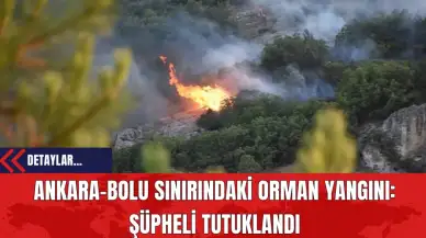 Ankara-Bolu Sınırındaki Orman Yangını: Şüpheli Tutuklandı