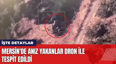 Mersin Silifke'de anız yakanlar dron ile tespit edildi