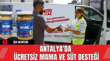 Antalya'da Ücretsiz Mama Ve Süt Desteği