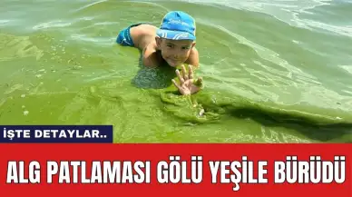 Alg Patlaması Gölü Yeşile Bürüdü