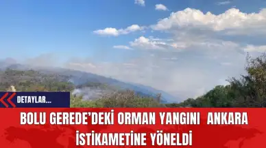 Bolu Gerede’deki Orman Yangını  Ankara İstikametine Yöneldi