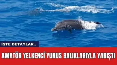 Amatör yelkenci yunus balıklarıyla yarıştı