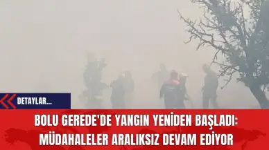 Bolu Gerede'de Yangın Yeniden Başladı: Müdahaleler Aralıksız Devam Ediyor