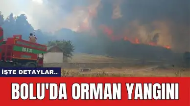 Bolu'da Orman yangını