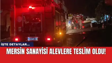 Mersin sanayisi alevlere teslim oldu!