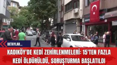 Kadıköy'de Kedi Zehirlenmeleri: 15'ten Fazla Kedi Öldürüldü, Soruşturma Başlatıldı