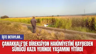 Çanakkale'de Direksiyon hakimiyetini kaybeden sürücü kaza yerinde yaşamını yitirdi