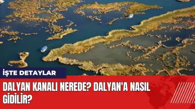 Dalyan Kanalı nerede? Dalyan'a nasıl gidilir?