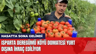 Isparta Deregümü Köyü domatesi yurt dışına ihraç ediliyor