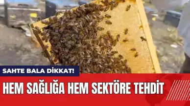 Sahte bala dikkat! Hem sağlığa hem sektöre tehdit