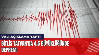 Bitlis Tatvan'da 4.5 büyüklüğünde deprem! Vali açıklama yaptı