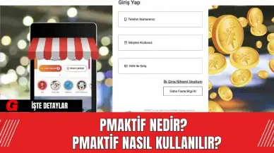 PMAktif Nedir?  PMAktif Nasıl Kullanılır?