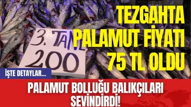 Palamut bolluğu balıkçıları sevindirdi! Tezgahta palamut fiyatı 75 TL Oldu