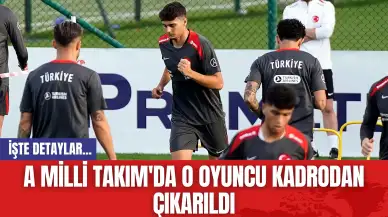 A Milli Takım'da O Oyuncu Kadrodan Çıkarıldı