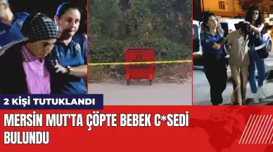 Mersin Mut'ta çöpte bebek c*sedi bulundu: 2 kişi tutuklandı