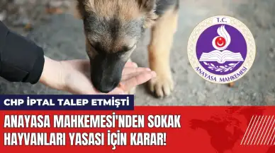 Anayasa Mahkemesi'nden sokak hayvanları yasası için flaş karar!