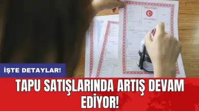 Tapu satışlarında artış devam ediyor!