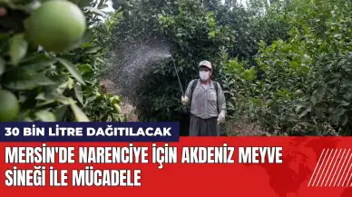 Mersin'de Akdeniz meyve sineği ile mücadele! 30 bin litre dağıtılacak