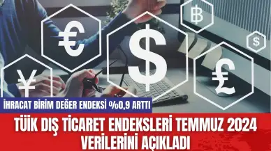 TÜİK Dış Ticaret Endeksleri Temmuz 2024 Verilerini Açıkladı