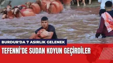 Burdur'da 7 asırlık gelenek! Tefenni'de sudan koyun geçirdiler