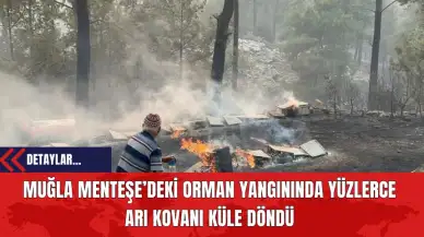 Muğla Menteşe’deki Orman Yangınında Yüzlerce Arı Kovanı Küle Döndü