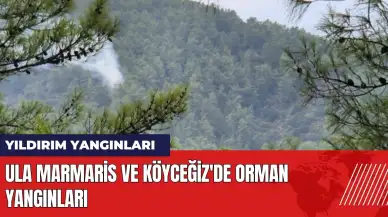 Ula Marmaris ve Köyceğiz'de orman yangınları