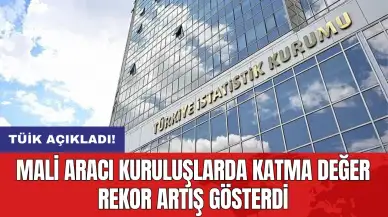 Mali aracı kuruluşlarda katma değer rekor artış gösterdi