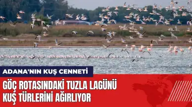 Göç rotasındaki Tuzla Lagünü kuş türlerini ağırlıyor