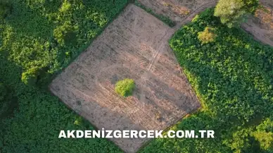 Adana Ceyhan'da mahkemeden satılık 26.100 m² arsa