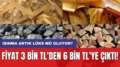 Fiyat 3 bin TL'den 6 bin TL'ye çıktı: Isınma artık lüks mü oluyor?