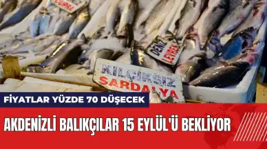 Akdenizli balıkçılar 15 Eylül'ü bekliyor! Balık fiyatları yüzde 70 düşecek