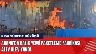 Adana'da balık yemi paketleme fabrikası alev alev yandı