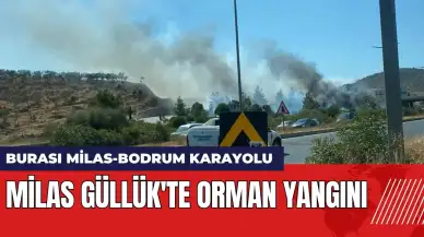 Milas Güllük'te orman yangını