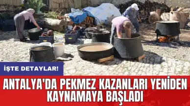 Antalya'da pekmez kazanları yeniden kaynamaya başladı