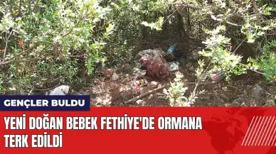 Yeni doğan bebek Fethiye'de ormana terk edildi