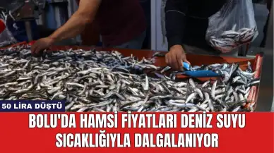 Bolu'da Hamsi Fiyatları Deniz Suyu Sıcaklığıyla Dalgalanıyor