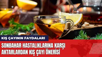 Sonbahar hastalıklarına karşı aktarlardan kış çayı önerisi