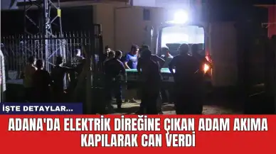 Adana'da elektrik direğine çıkan adam akıma kapılarak can verdi