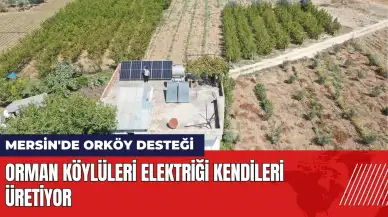 Mersin'de ORKÖY desteği! Orman köylüleri elektriği kendileri üretiyor