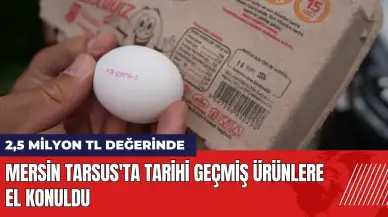 Mersin Tarsus'ta tarihi geçmiş milyonlarca liralık ürüne el konuldu