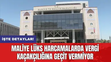 Maliye lüks harcamalarda vergi kaçakçılığına geçit vermiyor