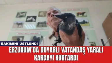 Erzurum'da Duyarlı Vatandaş Yaralı Kargayı Kurtardı