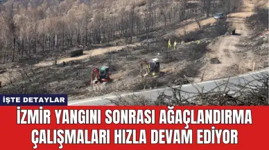 İzmir'de Yangın Sonrası Ağaçlandırma Çalışmaları Hızla Devam Ediyor