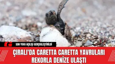 Çıralı'da Caretta Caretta Yavruları Rekorla Denize Ulaştı