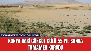 Konya'daki Gökgöl Gölü 55 Yıl Sonra Tamamen Kurudu