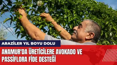 Anamur'da üreticilere avokado ve passiflora fide desteği