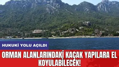 Orman alanlarındaki kaçak yapılara el koyulabilecek! Hukuki yolu açıldı