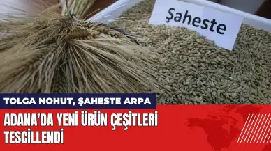 Adana'da yeni ürün çeşitleri tescillendi: Tolga nohut, Şaheste arpa