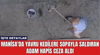 Manisa'da Yavru Kedilere Sopayla Saldıran Adam Hapis Ceza Aldı