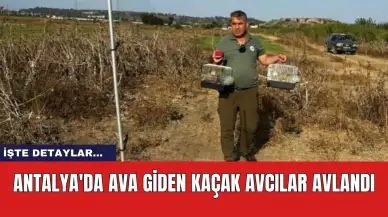 Antalya'da ava giden kaçak avcılar avlandı